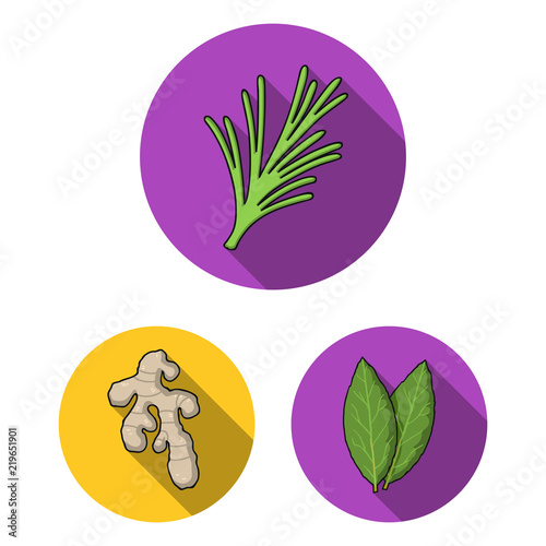 Herb and spices flat icons in set collection for design.Different kinds of seasonings vector symbol stock web illustration.
