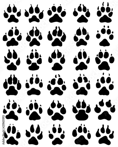Black print of paw of dogs on a white background