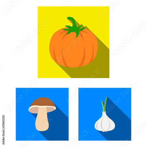 Different kinds of vegetables flat icons in set collection for design. Vegetables and vitamins vector symbol stock web illustration.