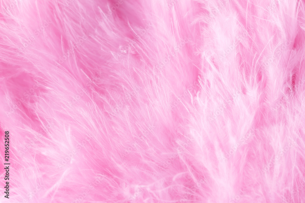 Macro shot of pink bird fluffy feathers in soft and blur style