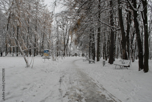 Wallpaper Mural 400 річчя Torontodigital.ca