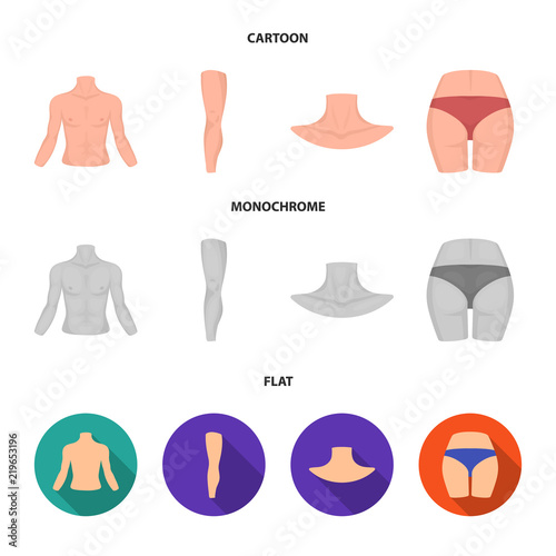 Torso, leg, neck and buttocks. Body parts set collection icons in cartoon,flat,monochrome style vector symbol stock illustration web.