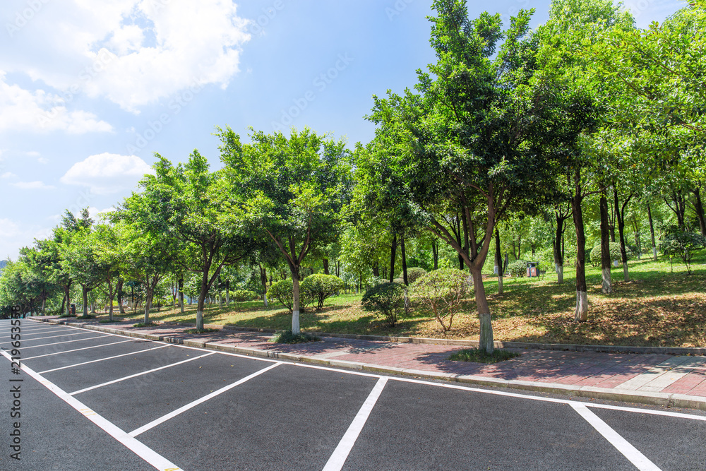 Urban open-air parking lot and park trees landscape in summer