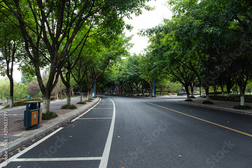 Asphalt roads and forests on both sides of the university campus