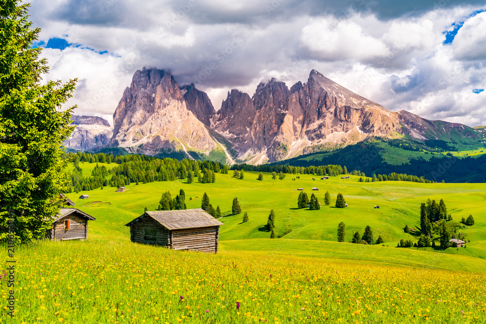Natural landscape of the green alpine plateau Seiser Alm