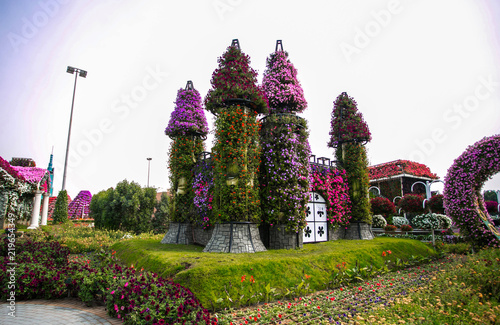 Canvas Print Miracle Garden in Dubai, UAE