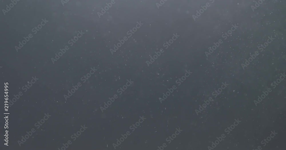 Slow motion backlit dust particles explosion effect on a black background Slow motion backlit dust particles explosion effect on a black background