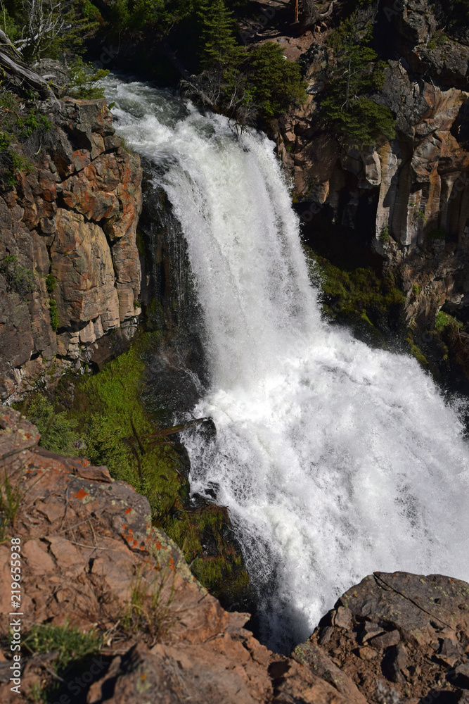 Obraz premium Undine Falls in Yellowstone National Park
