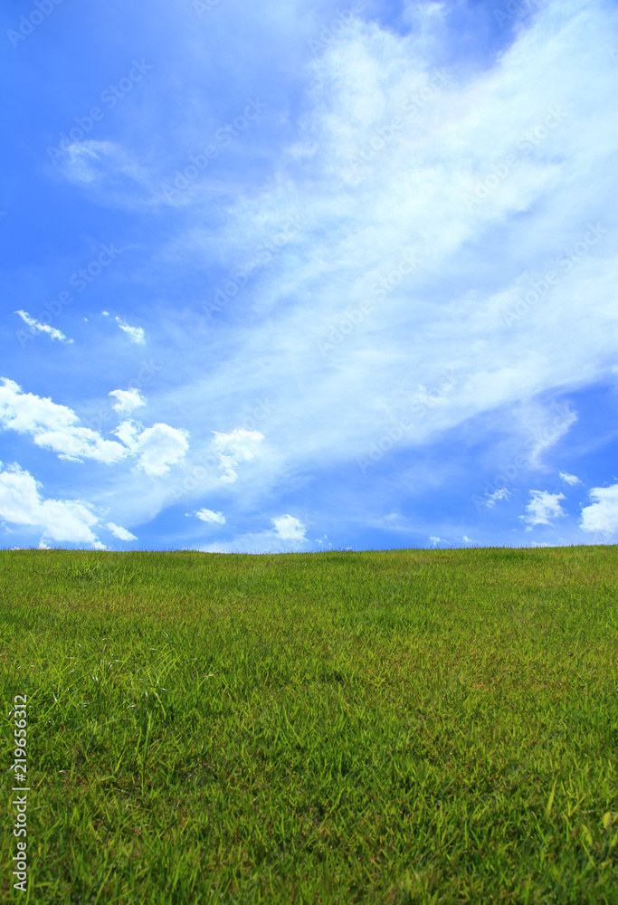 Green field under a blue sky