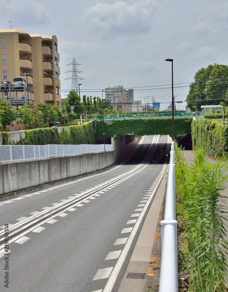 Φωτογραφία 西武新宿線と交わる新小金井街道（東京都小平市）