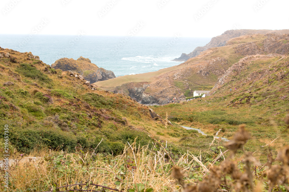 Foodpath to Kynance Cove (Porth Keynans)The Lizard Peninsula West Cornwall South England UK