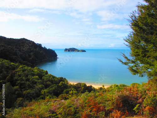 Beautiful view over the forests of a sandy bay in Abel Tasman National Park in New Zealand on a sunny day.