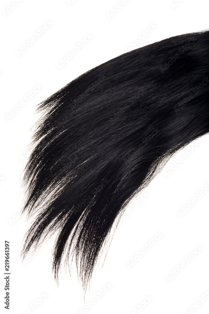 closeup strand of black hair