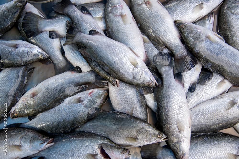 Seabass, cooked several ways and is delicious sold in the market mornings, Songkhla province Thailand country of healthy foods Seabass, cooked several ways and is delicious sold in the market mornings, Songkhla province Thailand country of healthy foods