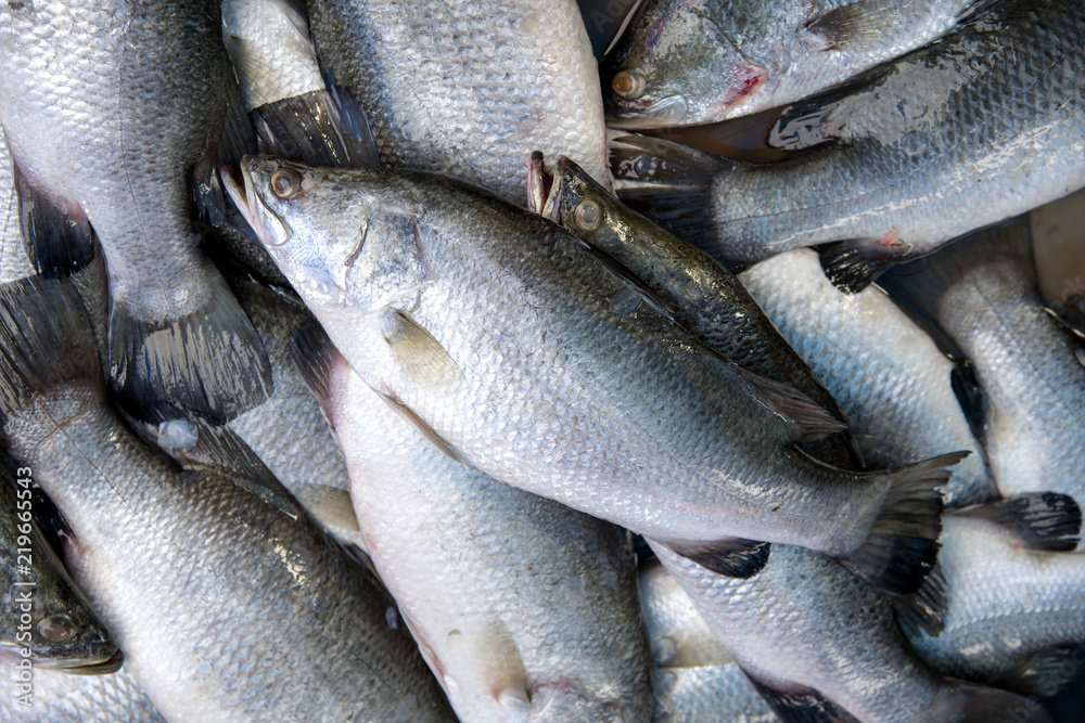 Obraz premium Seabass, cooked several ways and is delicious sold in the market mornings, Songkhla province Thailand country of healthy foods