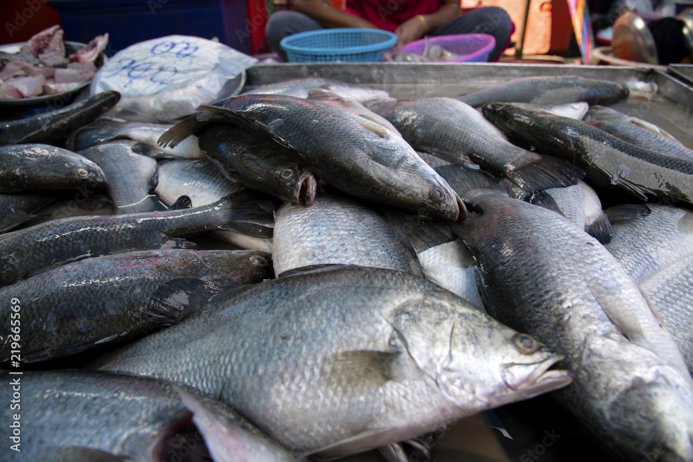 Seabass, cooked several ways and is delicious sold in the market mornings, Songkhla province Thailand country of healthy foods