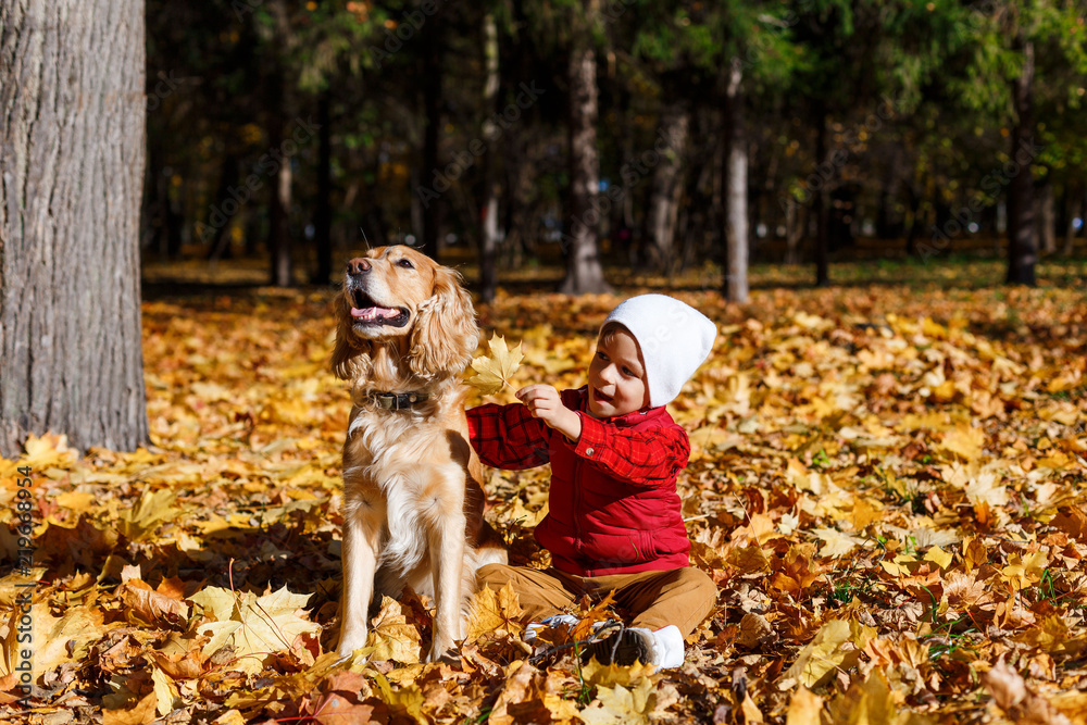 Cute, happy, white boy in red shirt smiling and playing with dog among yellow leaves. Little child having fun in autumn park. Concept of friendship between kids and pets, happy family
