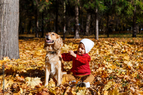 Cute, happy, white boy in red shirt smiling and playing with dog among yellow leaves. Little child having fun in autumn park. Concept of friendship between kids and pets, happy family