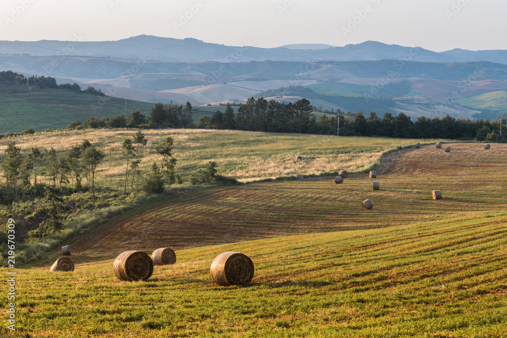 Bales of straw at sunset in Tuscany. Italy.