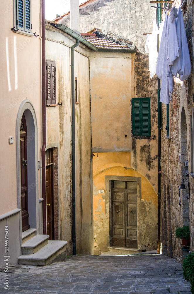 Fototapeta premium palace of the ancient village of medieval origin