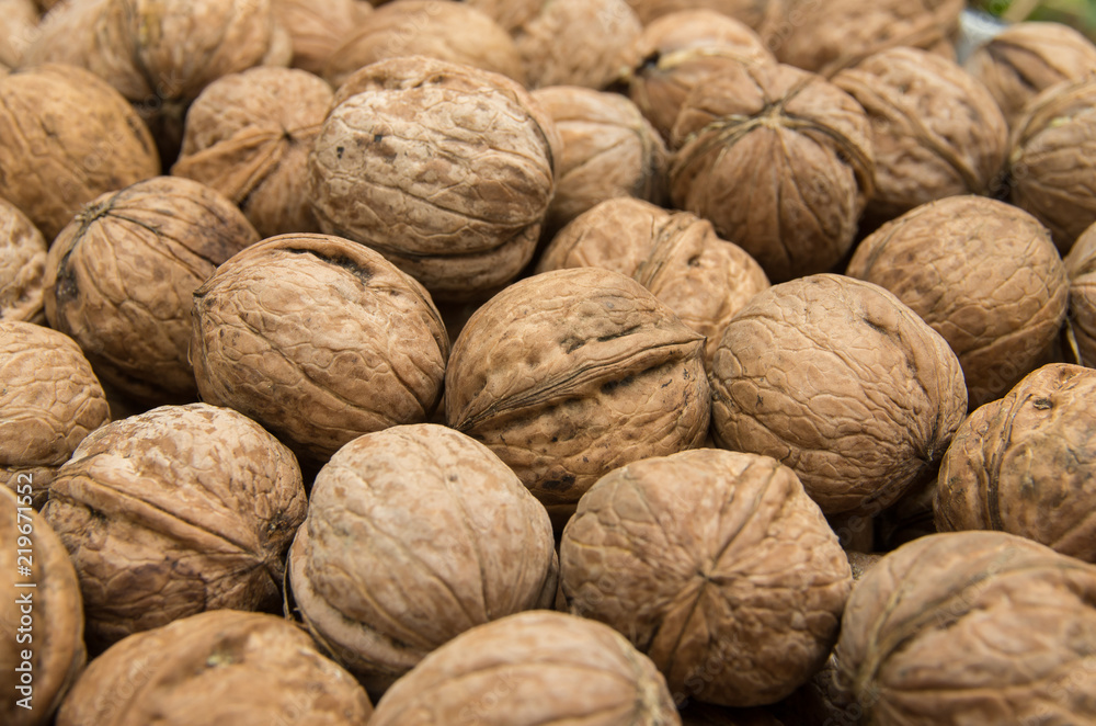 Natural walnut in shell. Natural walnut in shell.