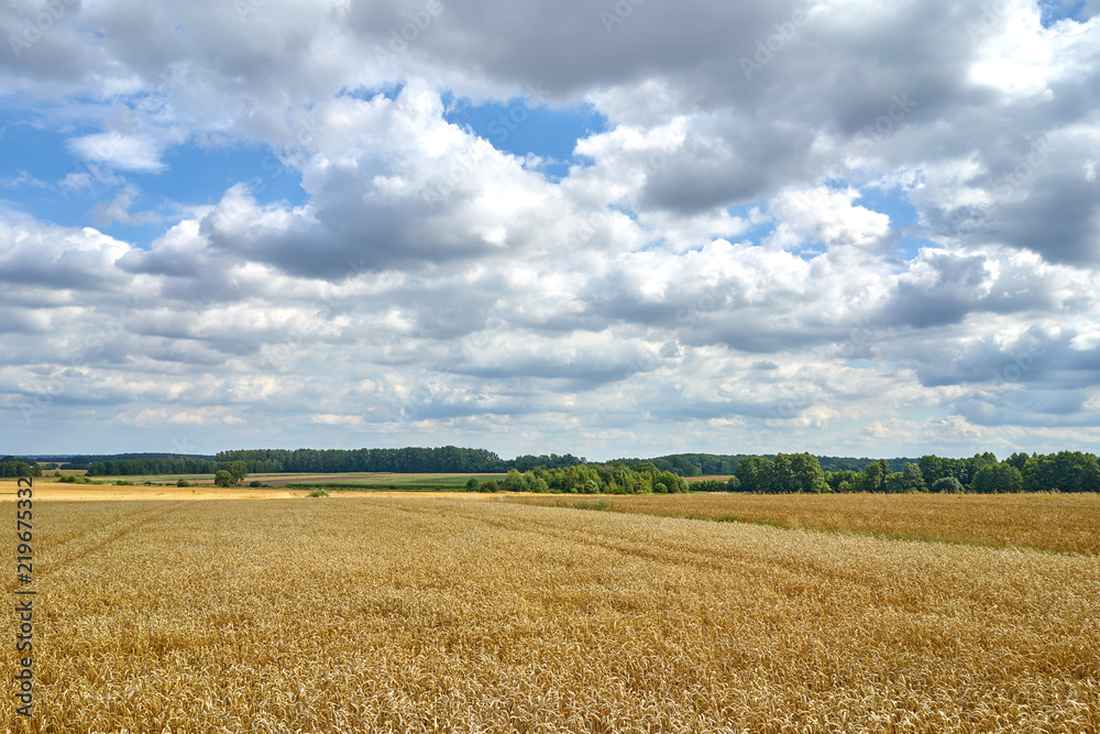 Schlesien im Sommer 2018