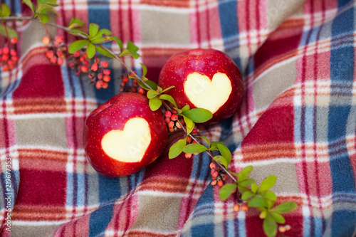 Delicious red apple with symbolic heart cutout on rough