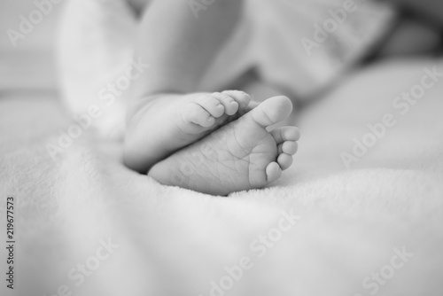 Nerborn baby's feet photo