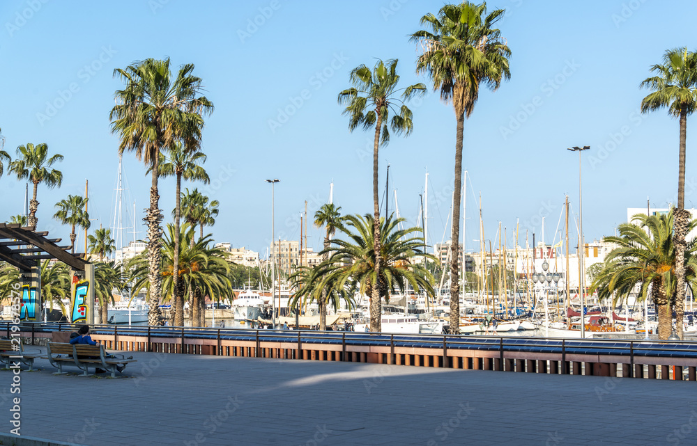 Obraz premium Embankment with palm trees and yachts in Barcelona, Spain - May 16, 2018.