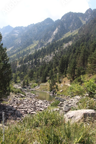 Joli paysage de montagne forêt et rivière Pyrénées France Cauterets