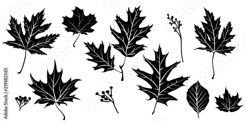 Nature silhouette isolated
