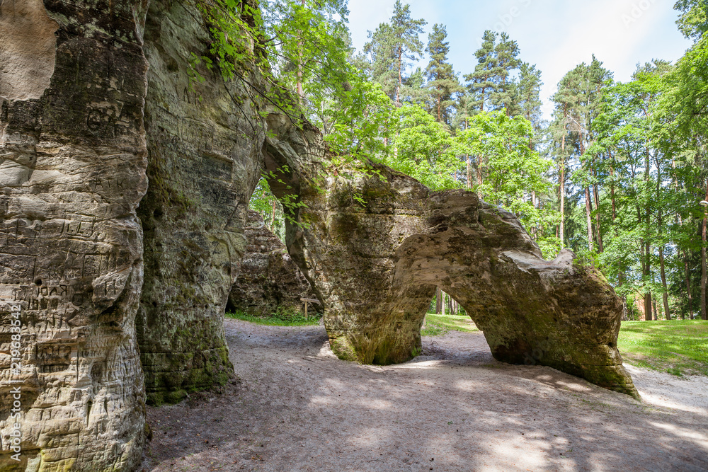 Scenic view to the picturesque sandstone caves Liela Ellite eroded by water in sunny autumn morning with fallen leaves on the ground in Liepas parish, Priekulu district, Vidzeme region, Latvia