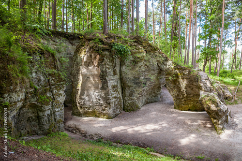 Scenic view to the picturesque sandstone caves Liela Ellite eroded by water in sunny autumn morning with fallen leaves on the ground in Liepas parish, Priekulu district, Vidzeme region, Latvia photo