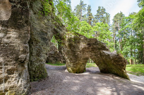 Scenic view to the picturesque sandstone caves Liela Ellite eroded by water in sunny autumn morning with fallen leaves on the ground in Liepas parish, Priekulu district, Vidzeme region, Latvia photo