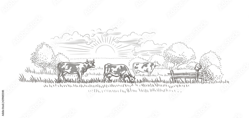 Cows grazing in a farmland/nature landscape vector sketch. 