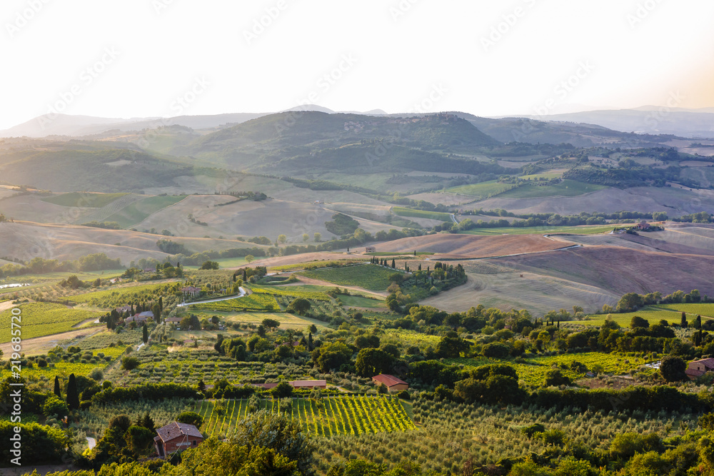 Tuscan Fields at Sunset near Montepulciano, Italy