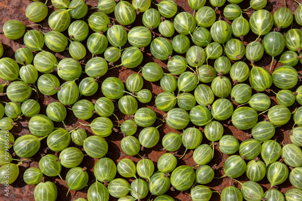 Some fresh gooseberry on rusty metal surface background Some fresh gooseberry on rusty metal surface background