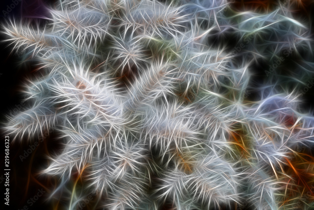 Blue Spruce fractal background texture