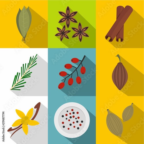 Eco spices and herbs icon set. Flat style set of 9 eco spices and herbs vector icons for web design