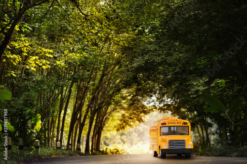 Yellow school bus coming through the trees tunnel.