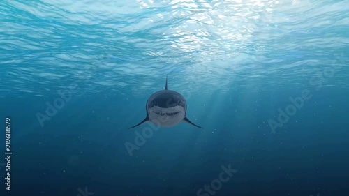 White shark attack the viewer.