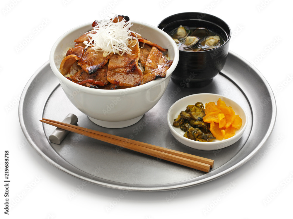 teriyaki pork rice bowl, butadon, japanese food teriyaki pork rice bowl, butadon, japanese food