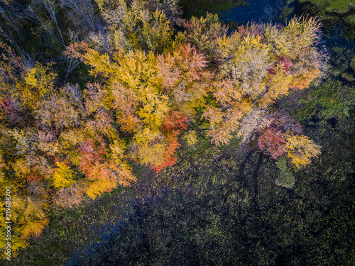 Aerial view over forest during vibrant autumn colors