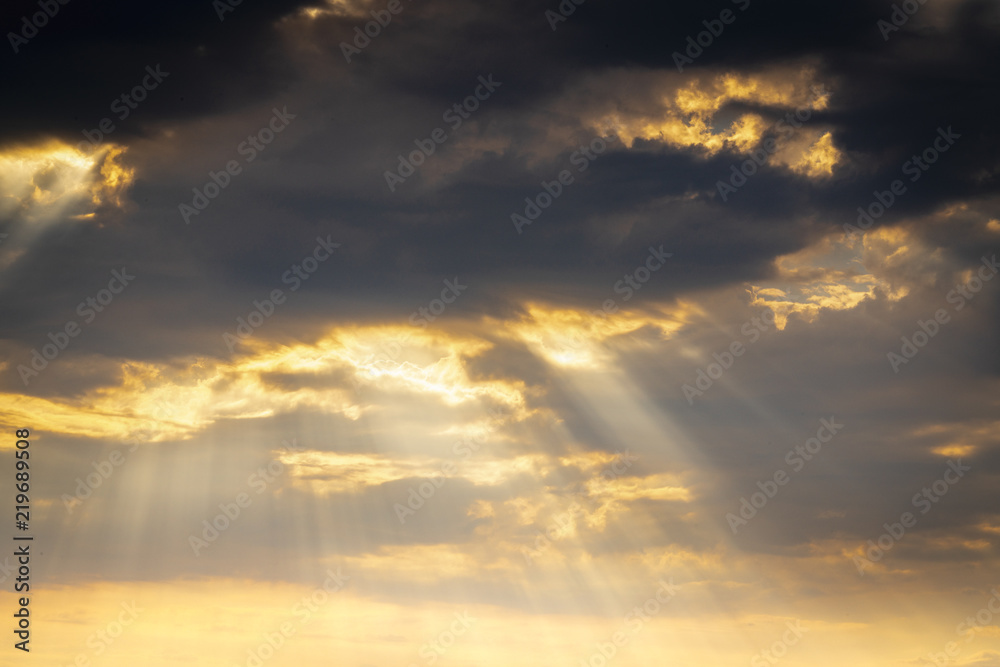 Obraz premium Amagansett