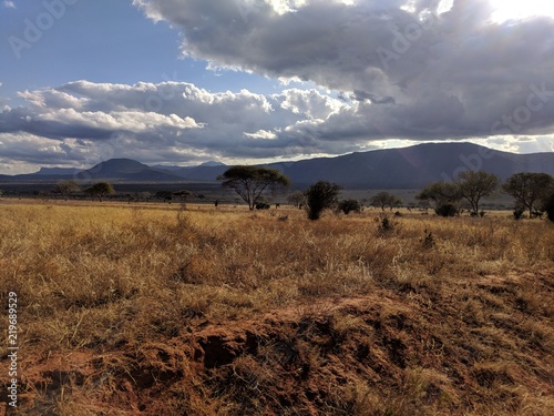 Kenya Tsavo East © ziena
