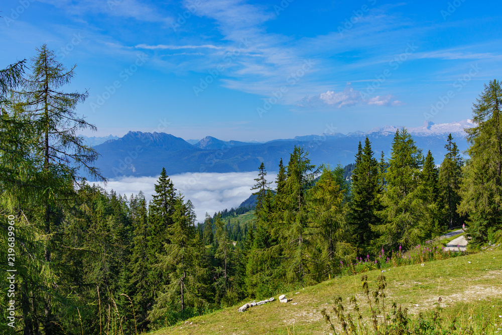 tauplitzalm tauplitzalm