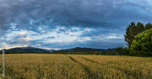 Germany, XXL panorama of black forest mountain landscape behind fields at dawn