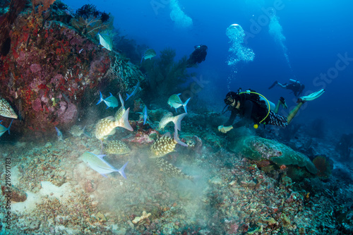 A male SCUBA diver exploring a deep tropical coral reef