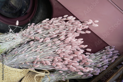 Bouquet of decorative dry pink spikelets, wheat ears close-up on the table, ripened cereal spikes. Real background of flower market.