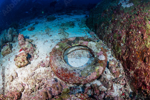 An old abandoned tyre polluting a tropical coral reef